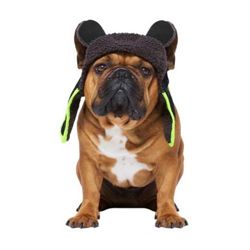 Canada Pooch Cool Factor Aviator Dog Hat - Primary Image