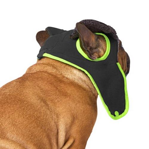 Canada Pooch Cool Factor Aviator Dog Hat - Primary Image