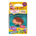 Little Live Pets NeeDees (Styles May Vary) - Thumbnail 3 of 8