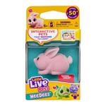 Little Live Pets NeeDees (Styles May Vary) - Thumbnail 5 of 8