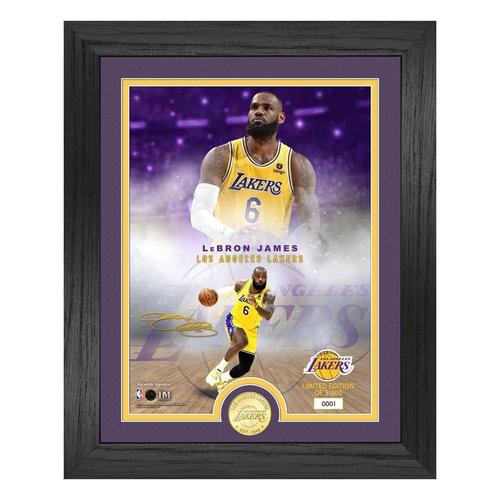 LeBron James Los Angeles Lakers Legends Bronze Coin Photo Mint - Primary Image
