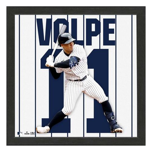 Highland Mint Anthony Volpe New York Yankees Jersey IMPACT Frame - Primary Image