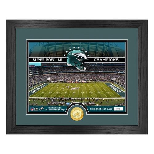 Philadelphia Eagles Stadium Bronze Coin Photo Mint - Primary Image