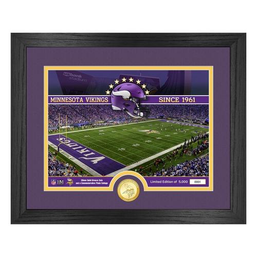 Minnesota Vikings Stadium Bronze Coin Photo Mint - Primary Image
