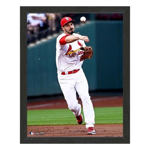 Highland Mint St. Louis Cardinals Nolan Arenado 12x15 Sport Frame - Primary Image