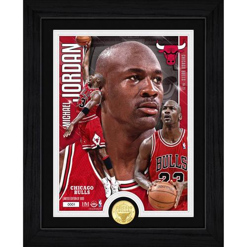 Highland Mint Chicago Bulls Michael Jordan Bronze Coin Artist Proof Photo Mint - Primary Image