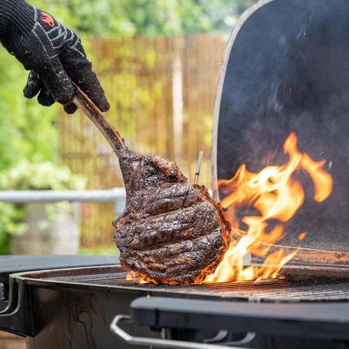 MEATER Pro/2 Plus Wireless Meat Thermometer - Primary Image