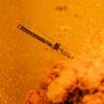 MEATER Pro/2 Plus Wireless Meat Thermometer - Thumbnail 17 of 21