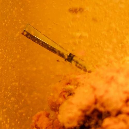 MEATER Pro/2 Plus Wireless Meat Thermometer - Primary Image