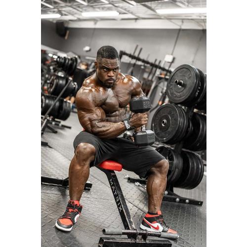 Schiek Dowel Lifting Straps - Primary Image