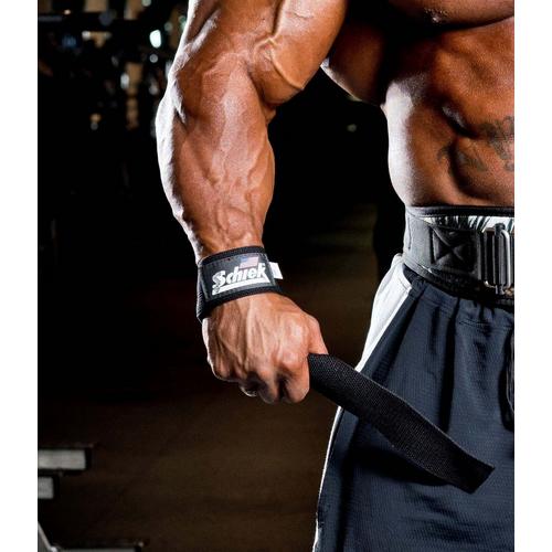 Schiek Basic Lifting Straps - Primary Image