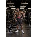 Schiek Basic Padded Lifting Straps - Thumbnail 4 of 5