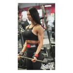 Schiek 1907 Platinum Edition Ultimate Grips - Thumbnail 5 of 11