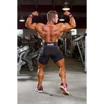 Schiek L6010 Competition Power Belt - Double Prong - Thumbnail 3 of 9