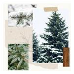 Thymes Frasier Fir 2oz Pine Needle Votive Candle - Thumbnail 4 of 4