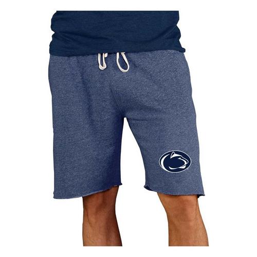 Concepts Sport Penn State Nittany Lions Mainstream Shorts - Primary Image