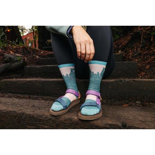 Women's Darn Tough Bear Town Lightweight Cushioned Micro Crew Hiking Socks - Primary Image