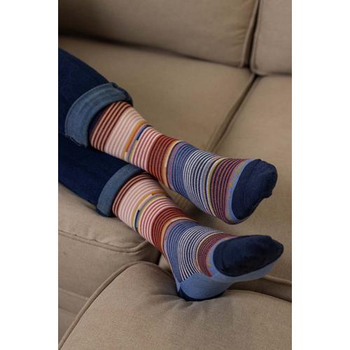 Women's Darn Tough Pixie Lightweight Lifestyle No Cushion Crew Hiking Socks - Primary Image