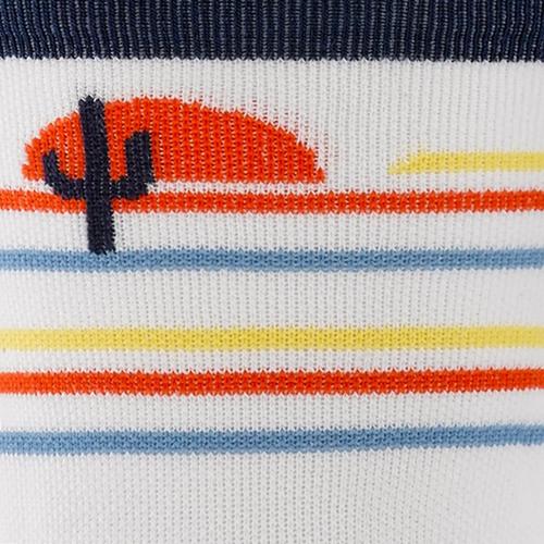 Men's Darn Tough Frontrunner Ultra-Lightweight Ultralight Cushion Mini Crew Running Socks - Primary Image