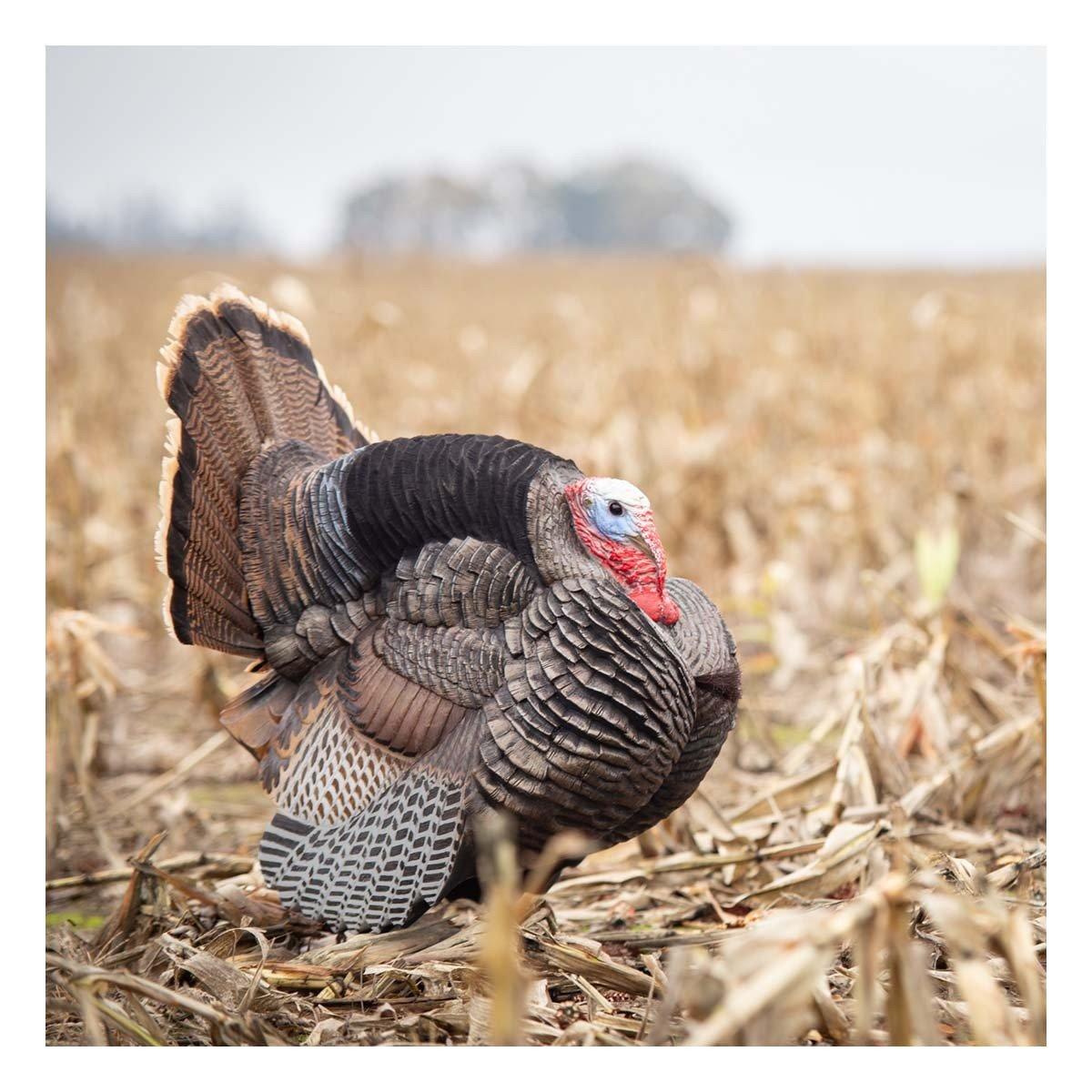 Dave Smith Decoys Jake Strutter Turkey Decoy - Thumbnail 5