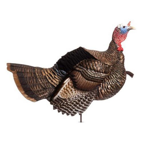 Dave Smith Decoys Posturing Jake Turkey Decoy - Primary Image