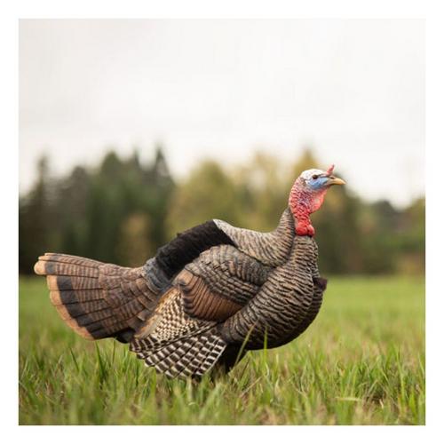Dave Smith Decoys Posturing Jake Turkey Decoy - Primary Image