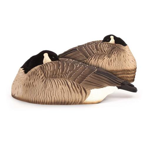 Dave Smith Decoys Maximas Shell Sleeper Goose Decoy 6-Pack - Primary Image