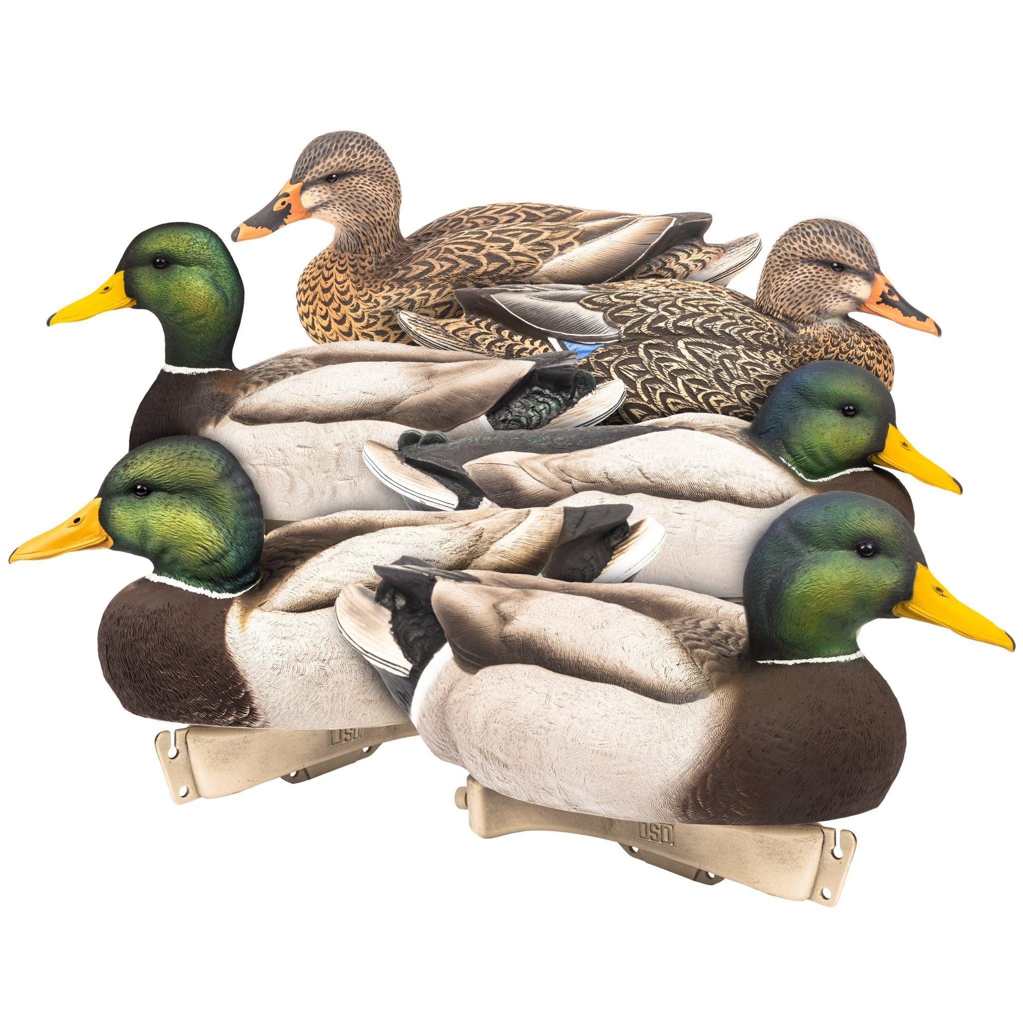 Dave Smith Decoys Maxima Mallard Duck Decoys 6 Pack - Dave Smith Decoys