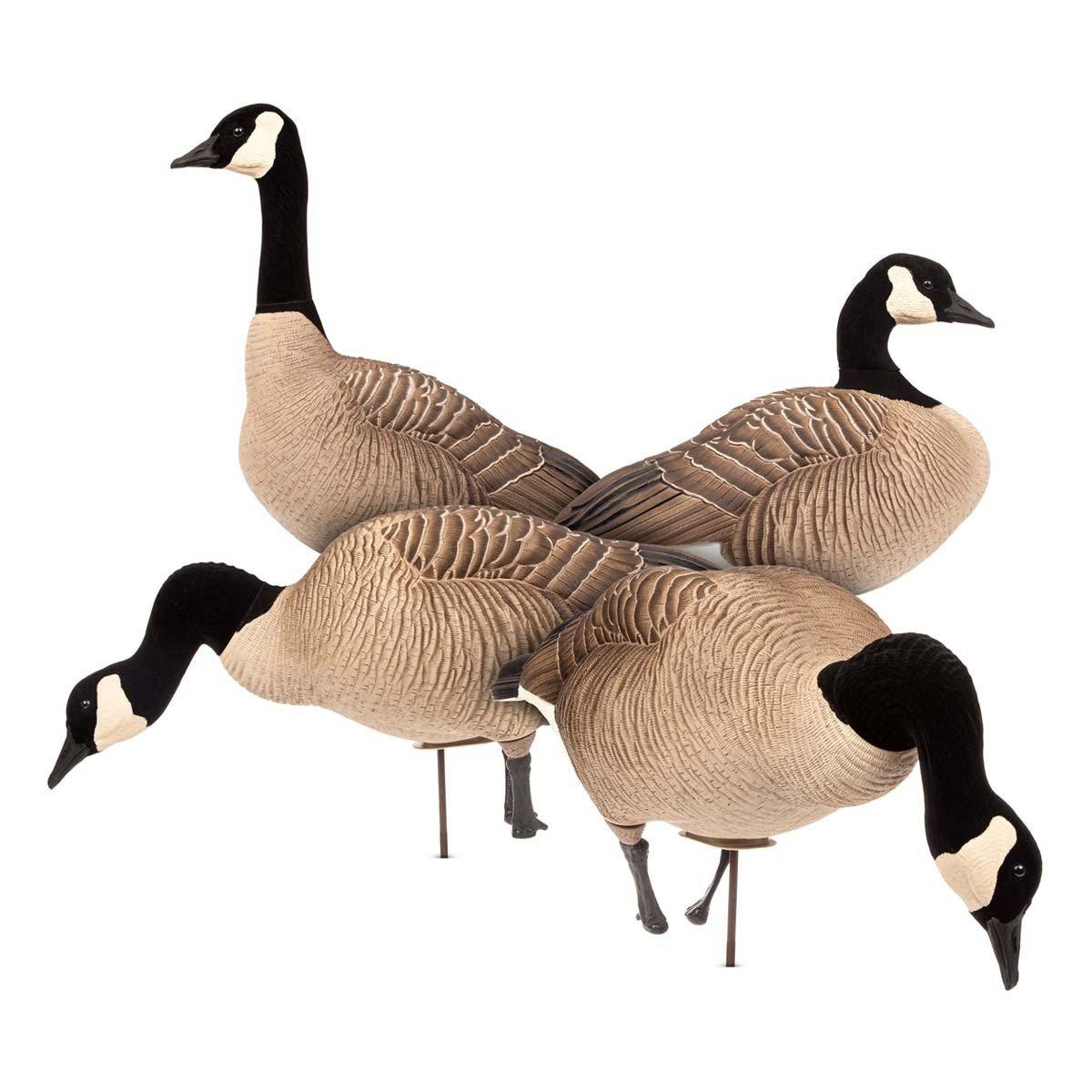 Dave Smith Decoys Maximas Full Body Goose Decoy 4-Pack - Dave Smith Decoys