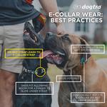 Dogtra EDGE Dog Training Bundle - Thumbnail 4 of 4
