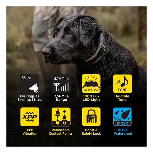 Dogtra 1900X 1-Dog Unit Training Bundle - Primary Image