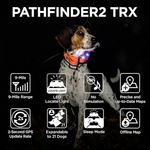Dogtra Pathfinder2 TRX Additional GPS-Only Training Collar - Thumbnail 3 of 4