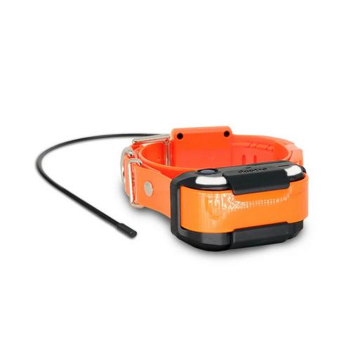 Dogtra Pathfinder2 TRX Additional GPS-Only Training Collar - Primary Image
