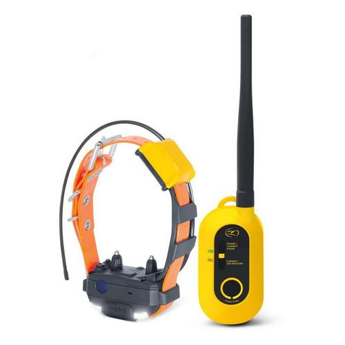 Dogtra Pathfinder2 Mini Dog Training Bundle - Primary Image