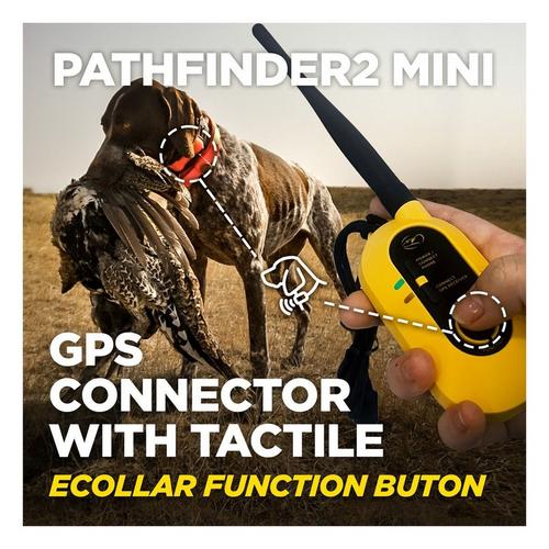 Dogtra Pathfinder2 Mini Dog Training Bundle - Primary Image