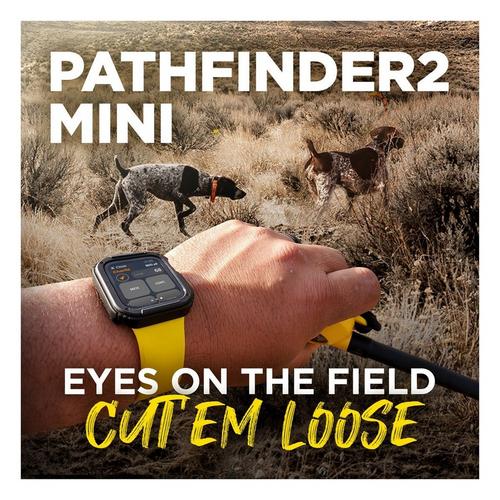 Dogtra Pathfinder2 Mini Dog Training Bundle - Primary Image