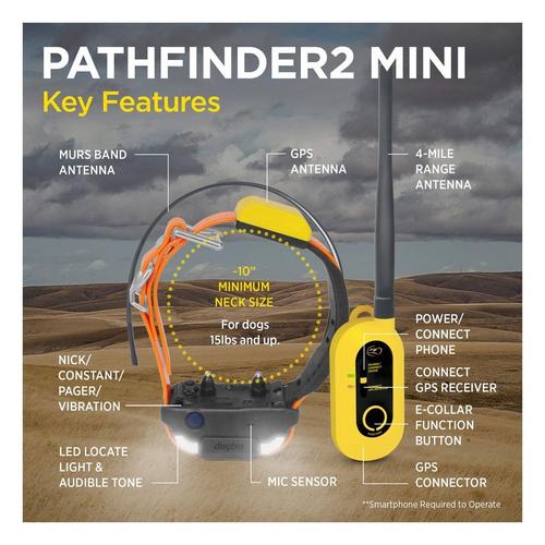 Dogtra Pathfinder2 Mini Dog Training Bundle - Primary Image