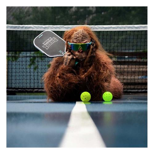 Bread & Butter The Wild Thang Pickleball Paddle - Primary Image