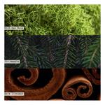 ILLUME Balsam & Cedar Boxed Crackle Glass Large Jar Candle - Thumbnail 3 of 3