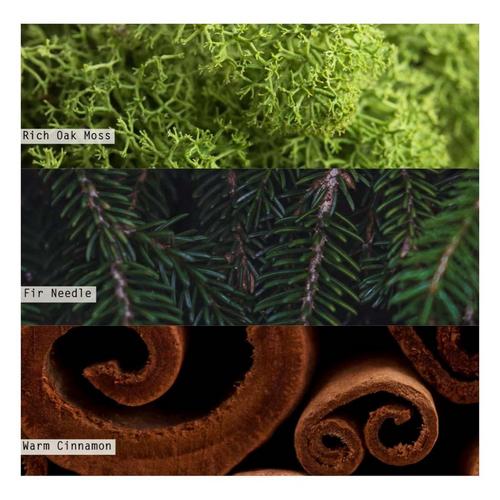 ILLUME Balsam & Cedar Red Mercury Ornament Jar Candle - Primary Image