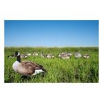 Big Al's X14 Greater 5 Pack Bulk Canada Goose Silhouettes (70 decoys) - Thumbnail 4 of 4