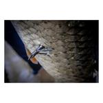 AMS Bowfishing Chaos FX Fluorescent Arrow - Thumbnail 2 of 2