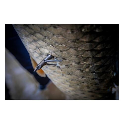 AMS Bowfishing Chaos FX Fluorescent Arrow - Primary Image