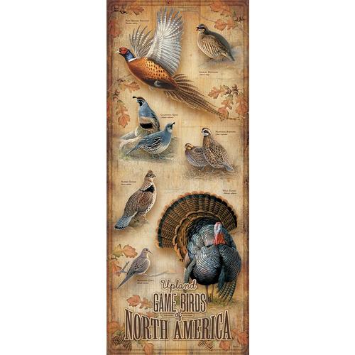 Upland Game Birds ID Chart Wood Sign by Rosemary Millette - Primary Image