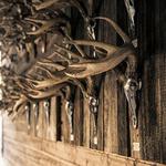 Do-All Iron Buck Antler Mount - Thumbnail 6 of 7