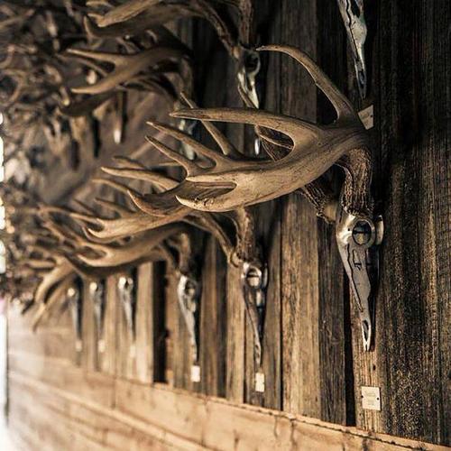 Do-All Iron Buck Antler Mount - Primary Image