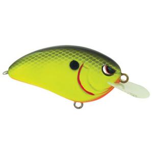 Chartruese Black Back - Spro Little John 50 Crankbait