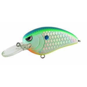 Citrus Shad - Spro Little John MD 50 Crankbait