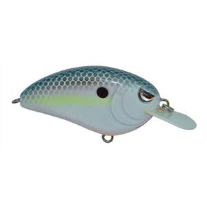 Nasty Shad - Spro Little John 50 Crankbait