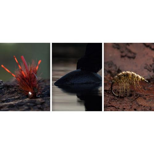 AHREX NS172 Nordic Salt Curved Gammarus Hooks - Primary Image